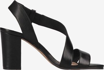 Steven New York Strap Sandals in Black