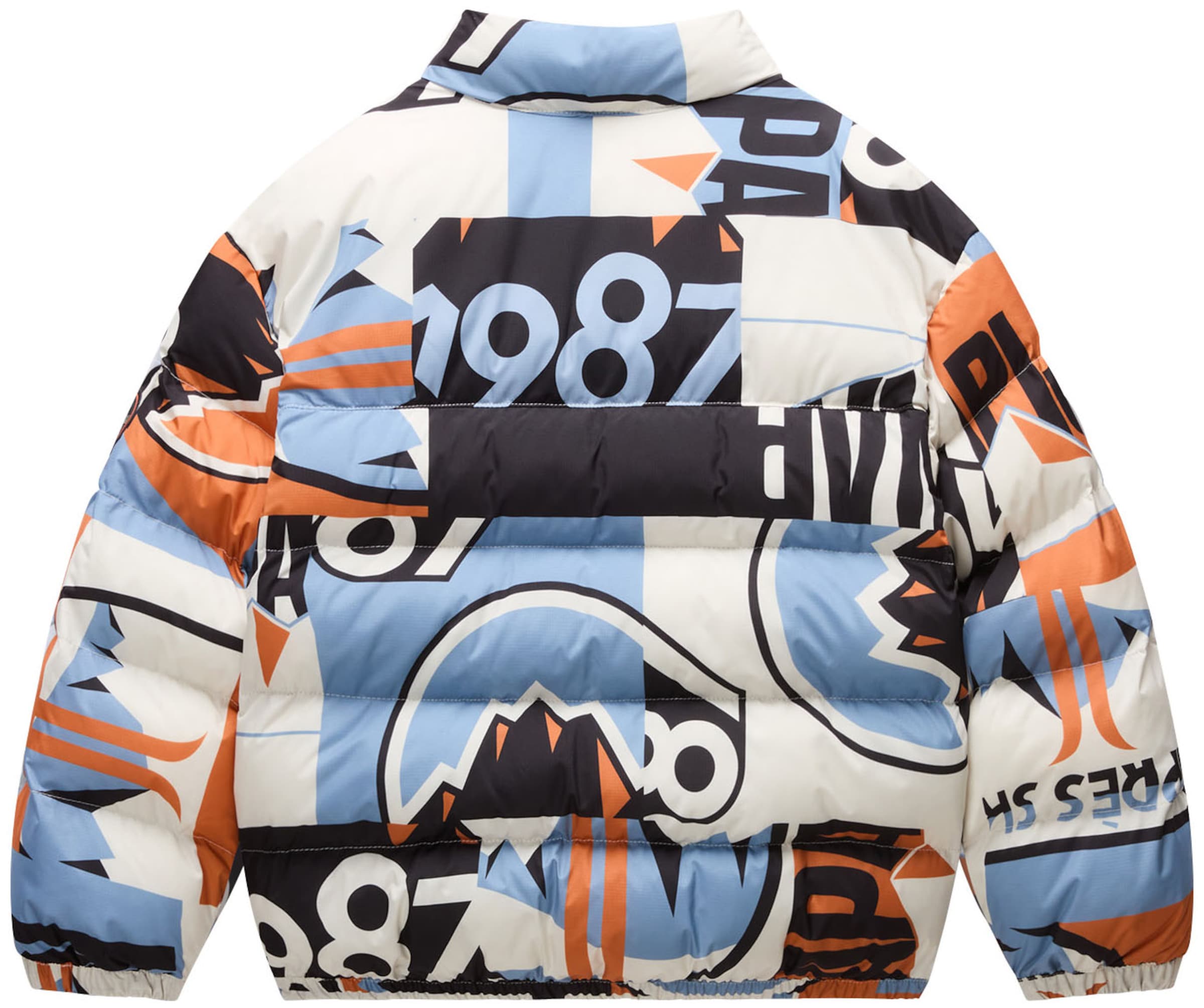 Veste d’hiver 'A-Primiero' NAPAPIJRI en mélange de couleurs