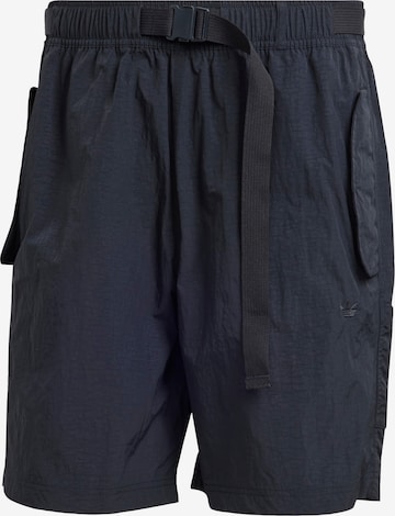Regular Pantaloni 'Adventure' de la ADIDAS ORIGINALS pe albastru: față