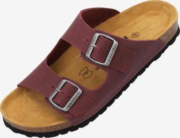 Palado Pantolette 'Palado Korfu Oiled Premium Leather Herren' in Rot: Vorderseite