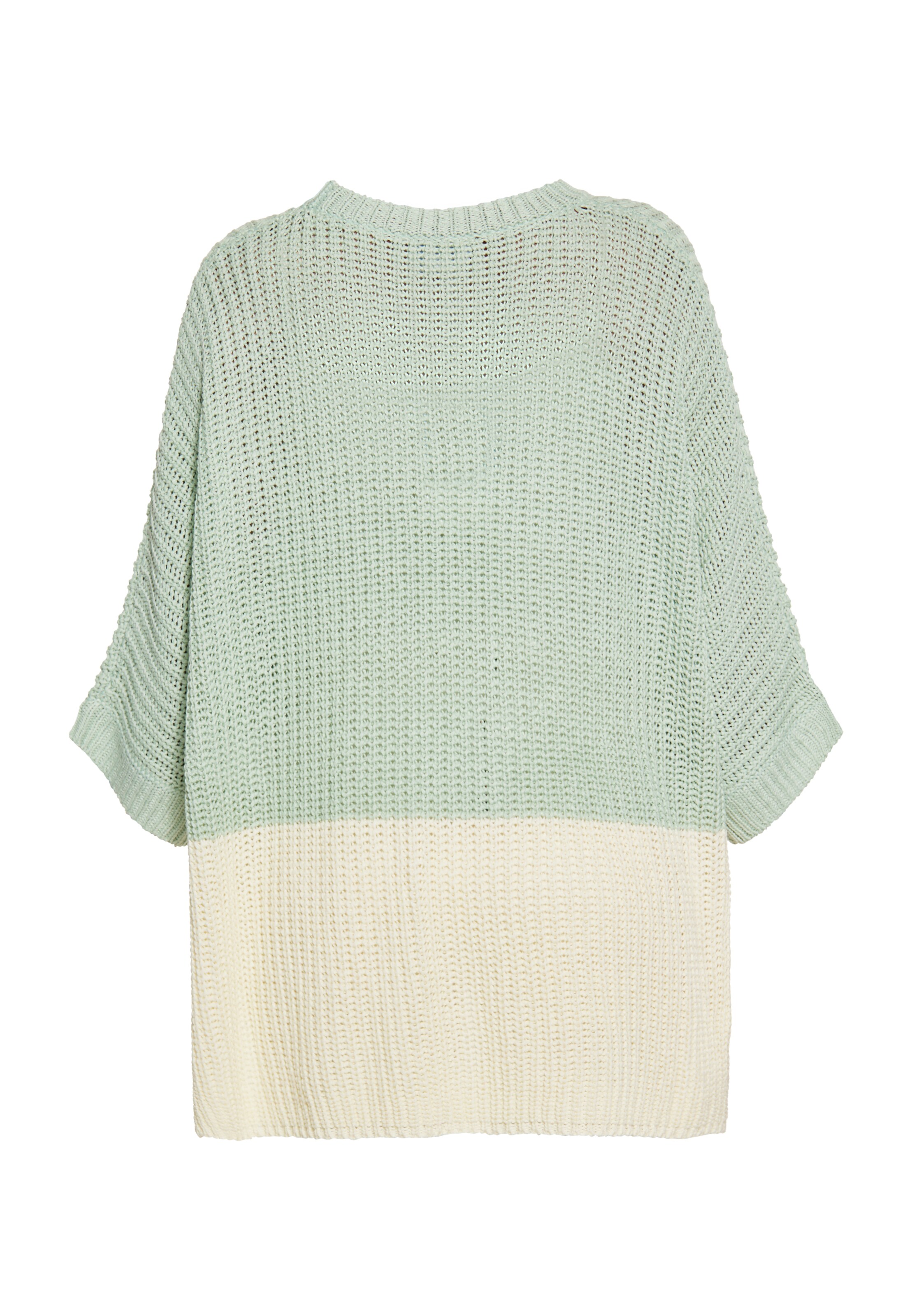 usha BLUE LABEL Pulover | zelena barva