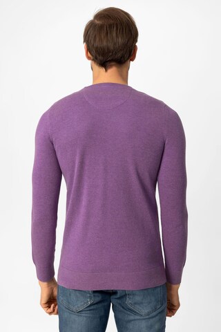 DENIM CULTURE Sweater 'LEVIN' in Purple