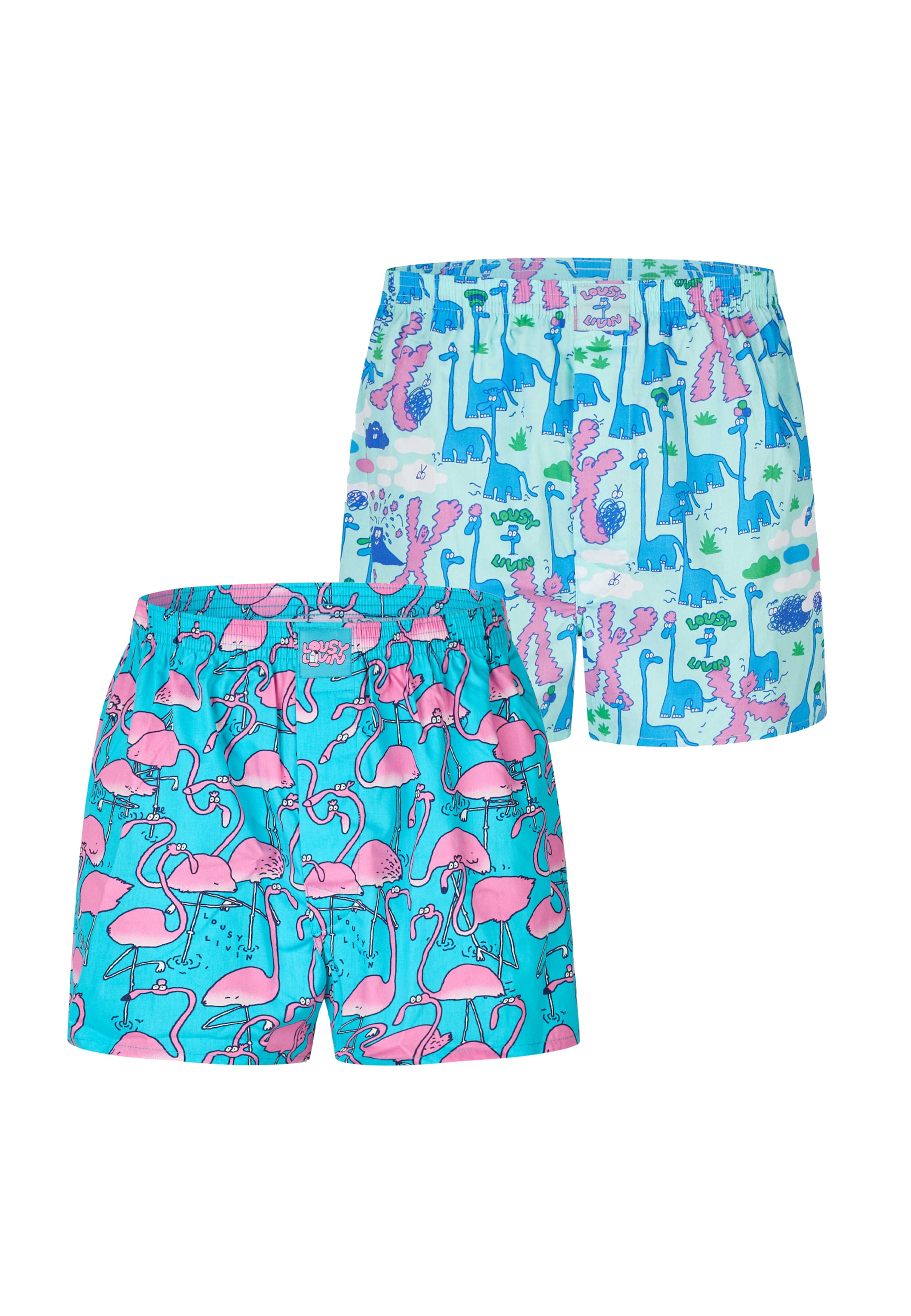 Lousy Livin Boxershorts Set 'Dino & Greater Flamingo' in Blau: Vorderseite