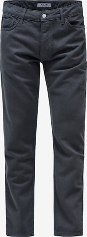 Salsa Jeans Regular Hosen Straight in Grau: Vorderseite