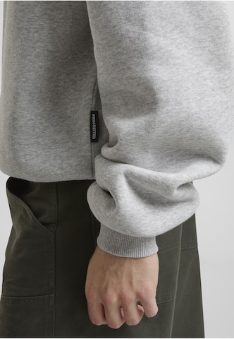Prohibited Sweatshirt i grå