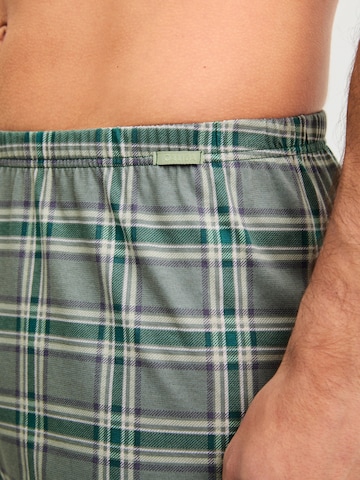 CALIDA Boxershorts 'Prints'‌‌‌‌‌ in Grün