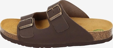 DR. BRINKMANN Pantolette 'Bonillo' in Braun: Vorderseite