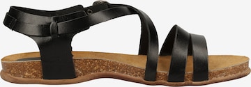 Kickers Strap Sandals in Black