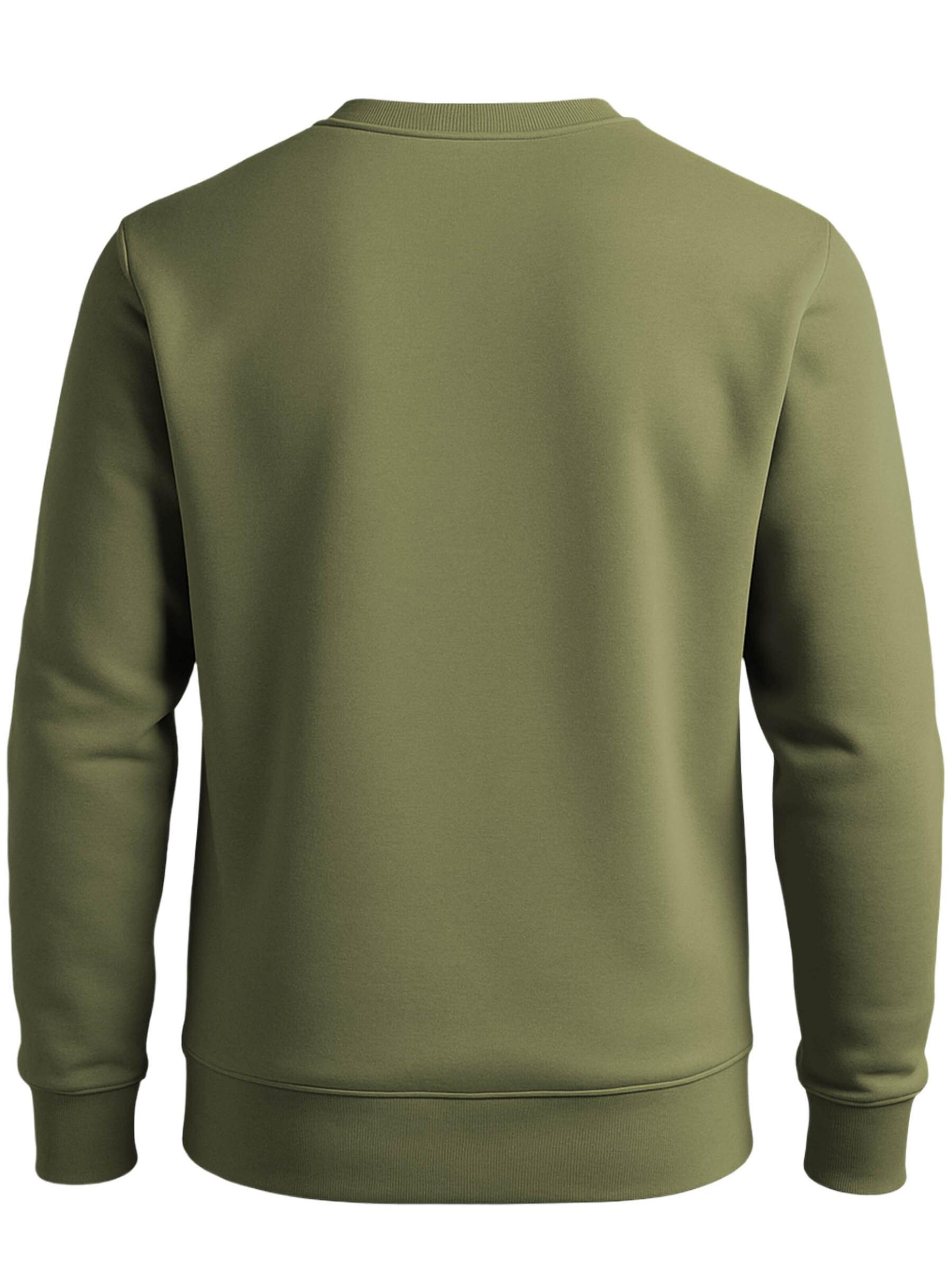 FORSBERG Sweatshirt 'Sweatshirt mit elastischen Einsätzen' in Green