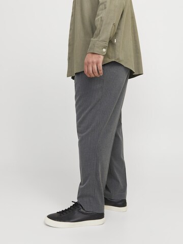 Jack & Jones Plus Regular Hose in Grau