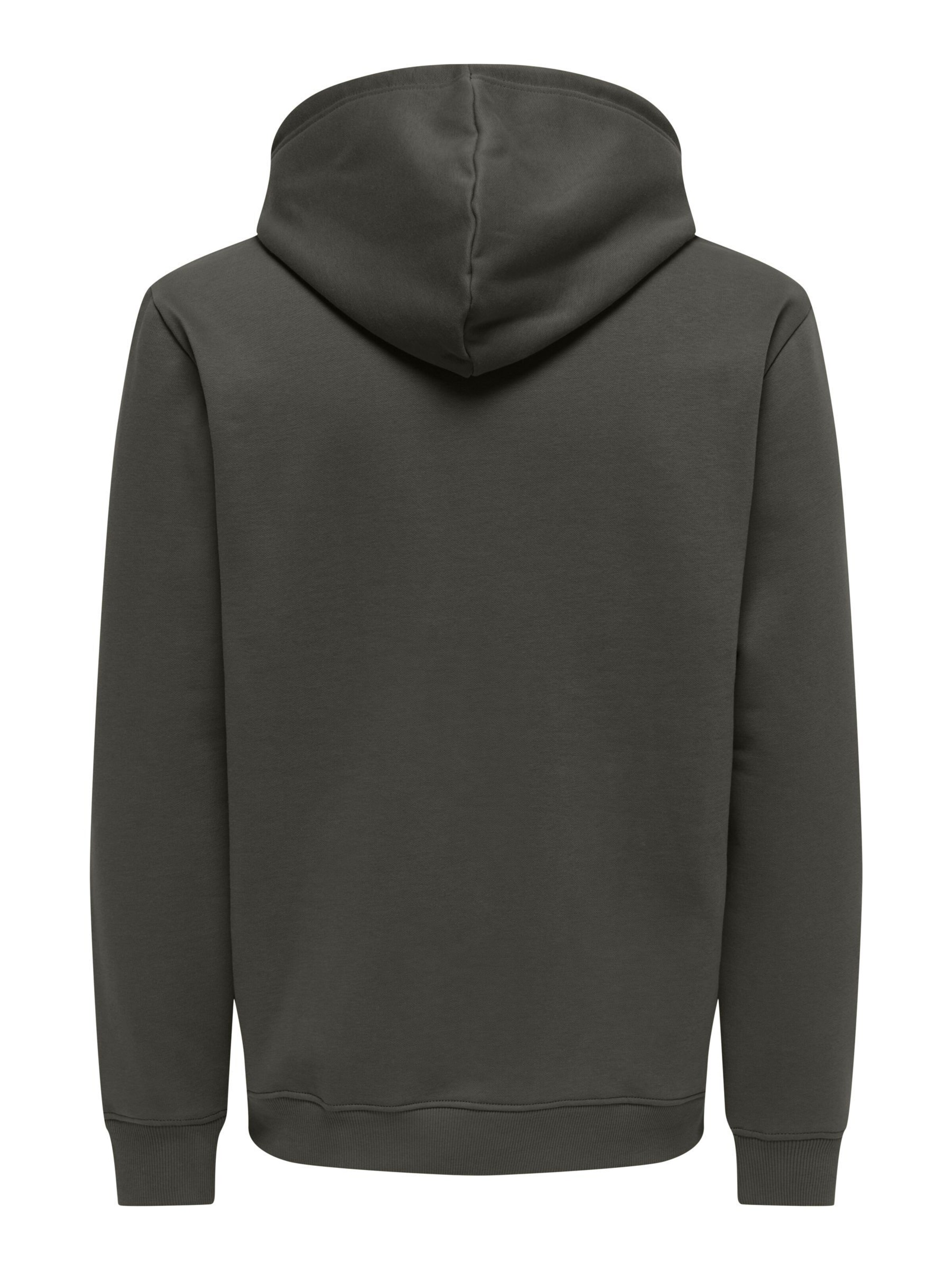 Only & Sons Sweatshirt 'ONSConnor' in Grau