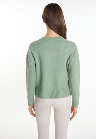 Pull-over usha WHITE LABEL en vert