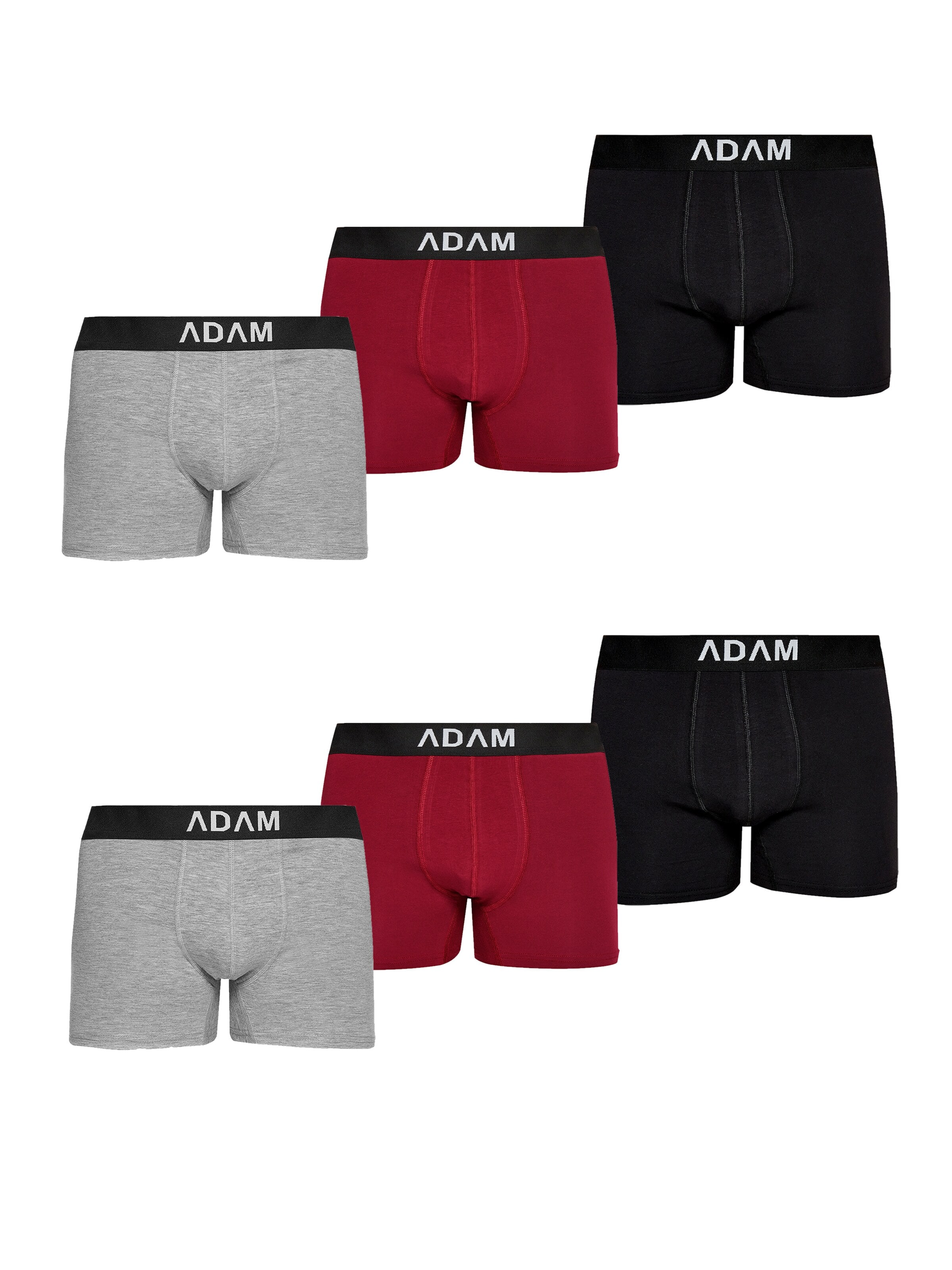 Adam Boxershorts '6er Pack'‌‌‌‌‌‌‌‌‌ in Grau: Vorderseite