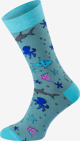 Chili Lifestyle Socks 'Banderole Leisure Socks' in Blue: front