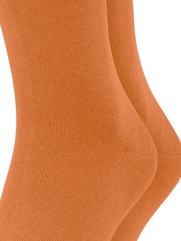 ESPRIT Socken 'Basic Uni 2-Pack' in Gelb: Vorderseite