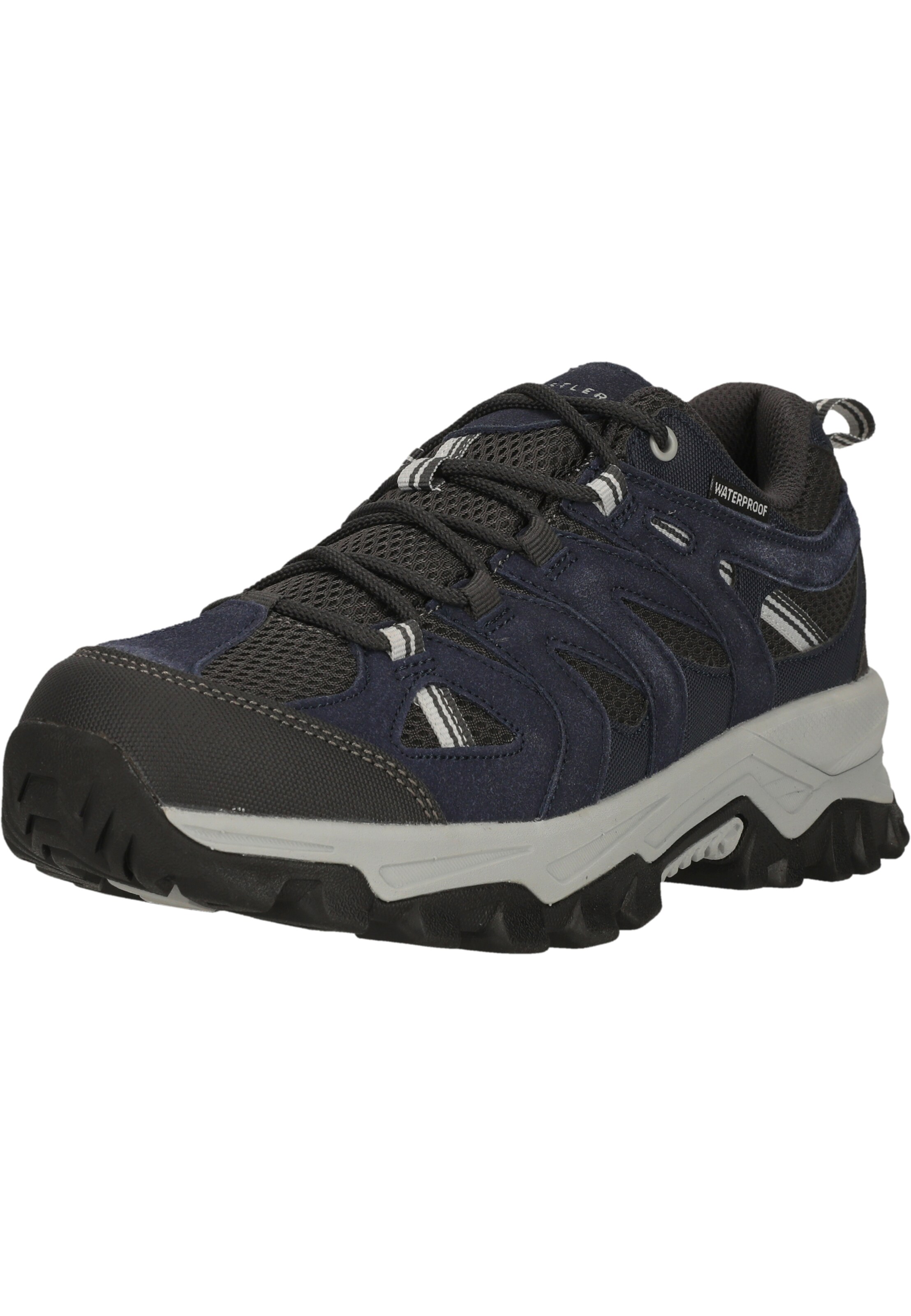 Whistler Lage schoen 'Terx' in Blauw: voorkant