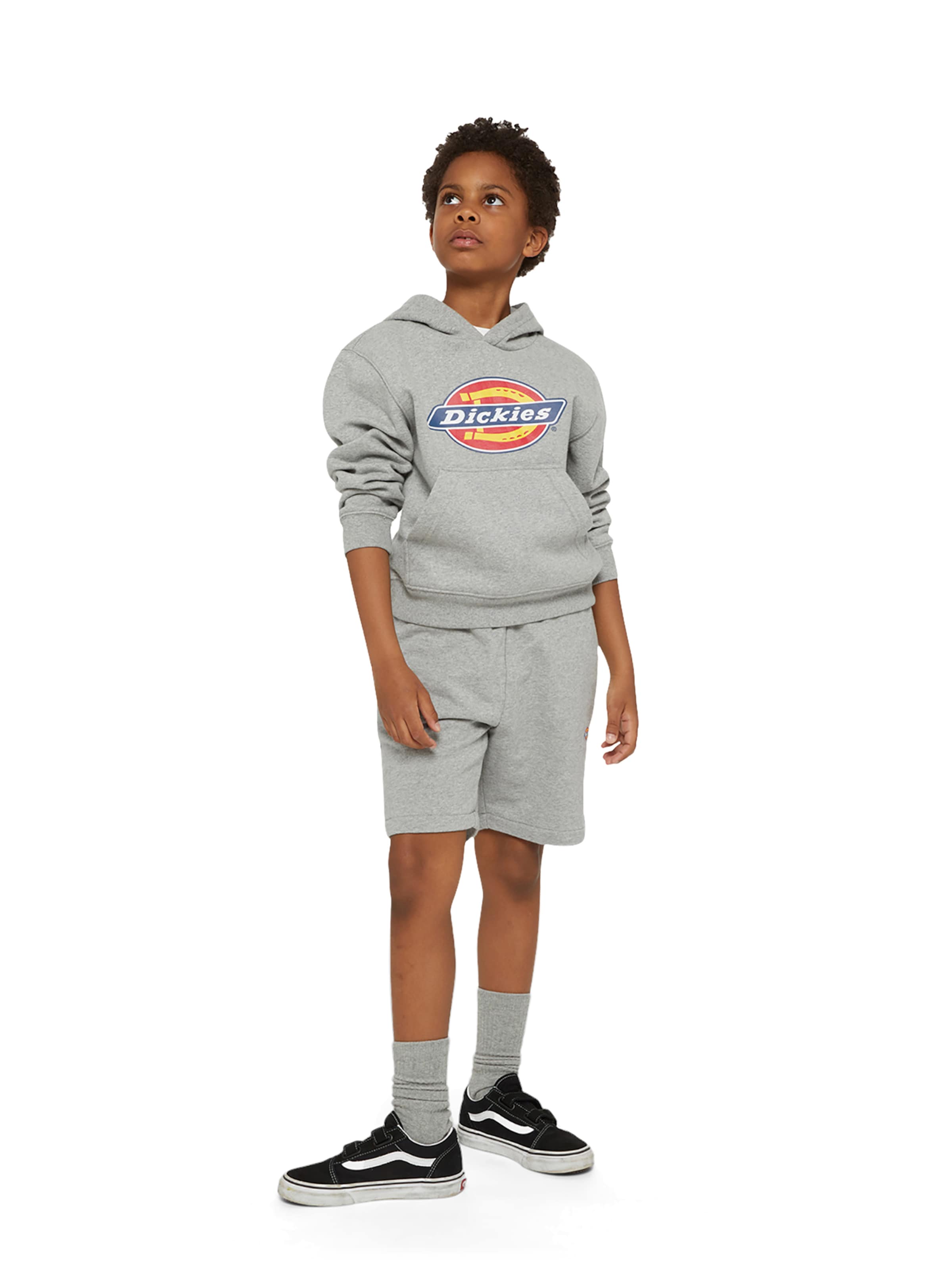 DICKIES Sweatshirt i grå