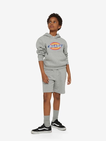 DICKIES - Sweatshirt em cinzento