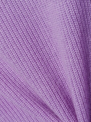 FYNCH-HATTON Trui in Roze