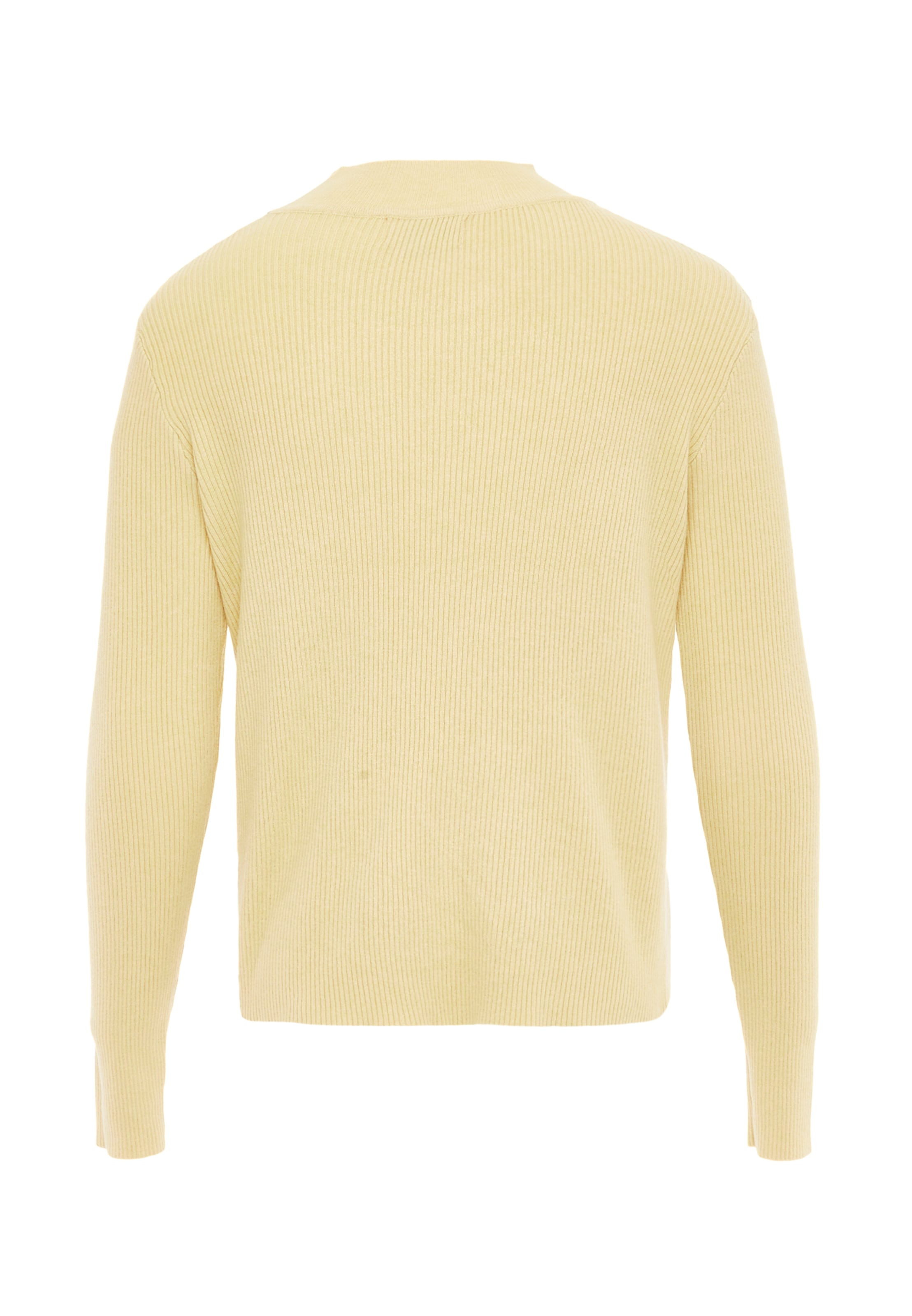 paino Свитер в Желтый