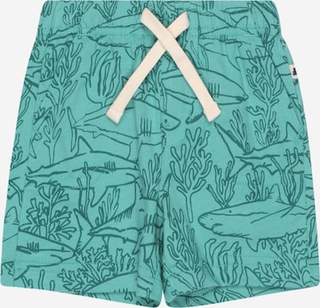 GAP Regular Shorts 'SUMMER' in Grün: predná strana