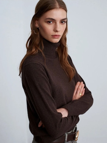 Dilvin Pullover 'Pullover'‌‌‌‌‌ in Braun