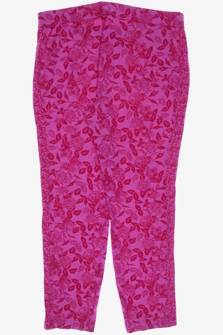 STEHMANN Pants in XXL in Pink