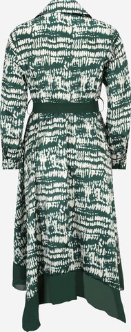 Robe-chemise Wallis Petite en vert