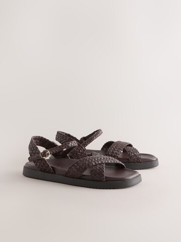 Next Sandal in Brown
