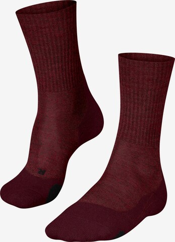 FALKE Sportsocken 'TK2 Explore Wool' in Rot: Vorderseite