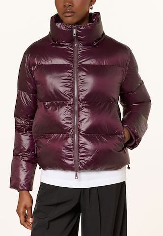 darling harbour Pufferjacke in Rot: Vorderseite