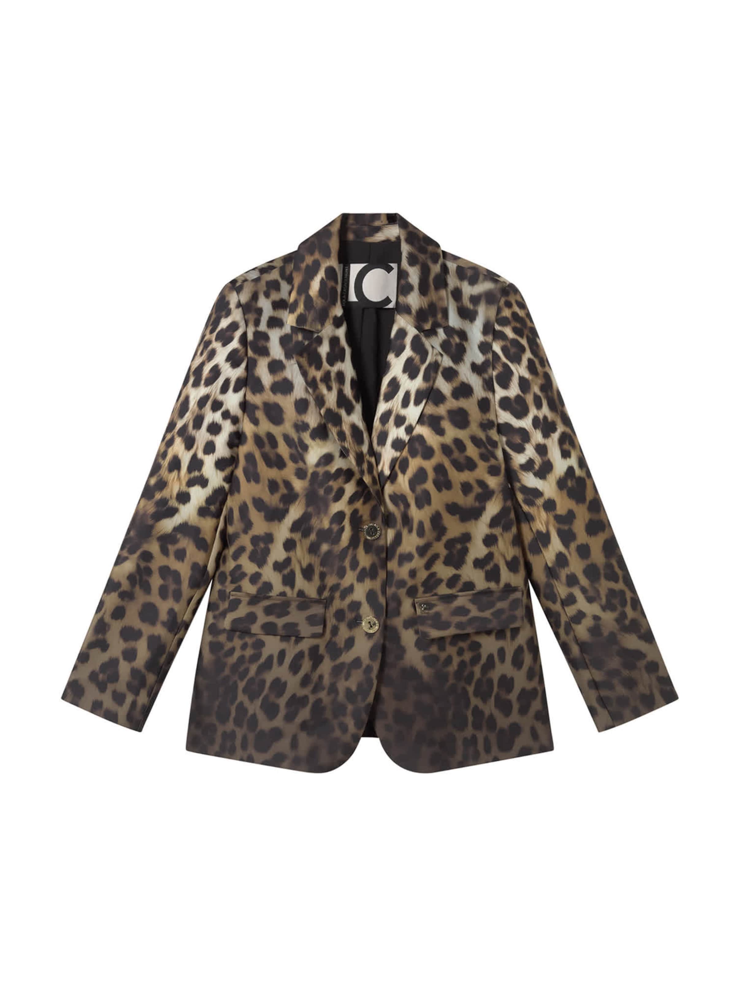 Blazer Lola Casademunt en marron : devant