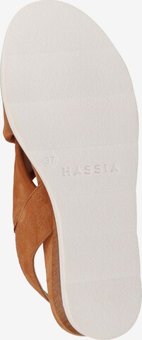 Sandales HASSIA en marron