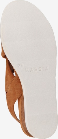 HASSIA Sandals in Brown