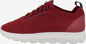 Baskets basses 'Spherica ' GEOX en rouge