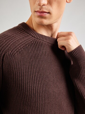 TRAPP Sweater in Brown