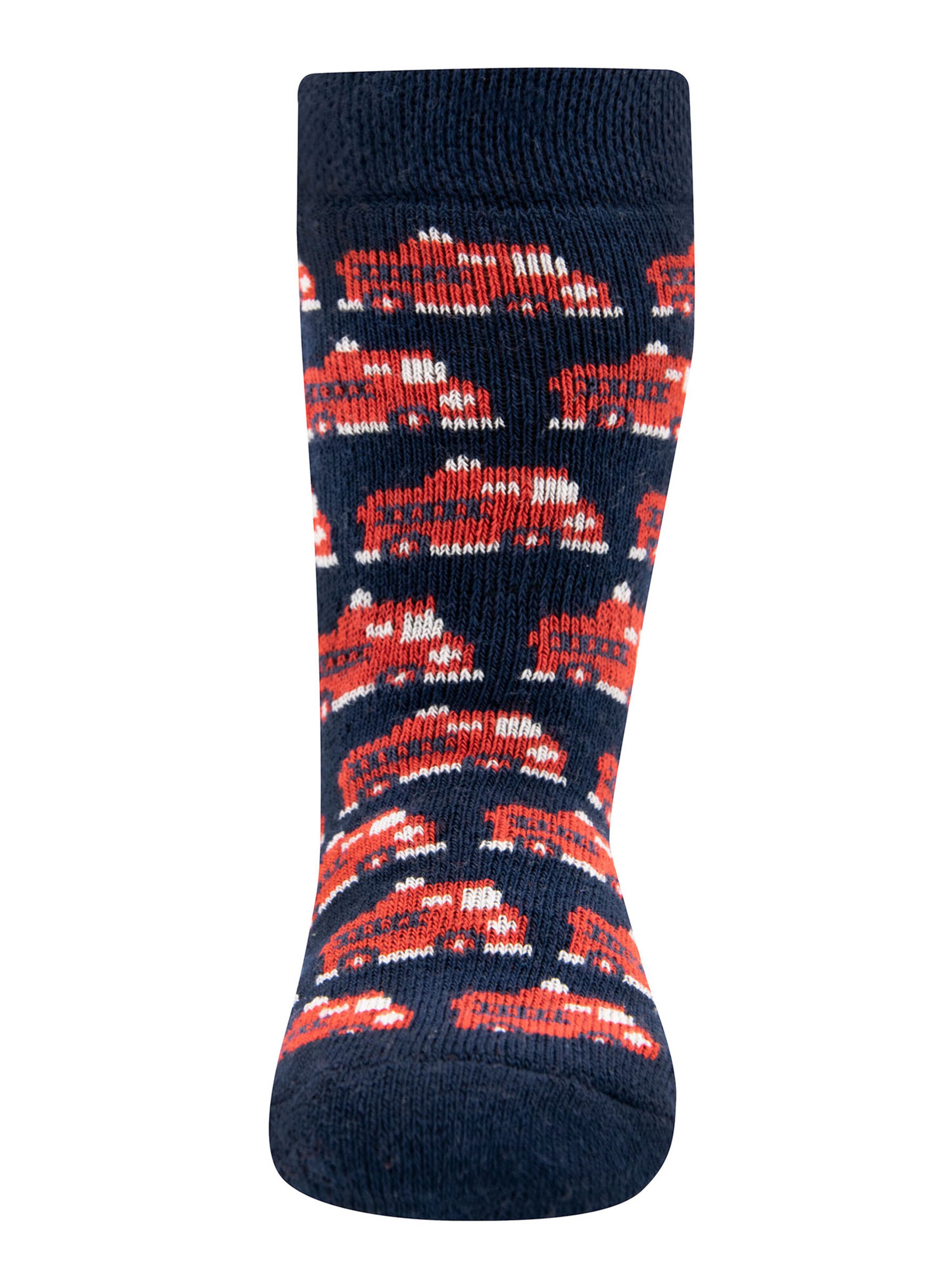 EWERS Nogavice | mešane barve barva