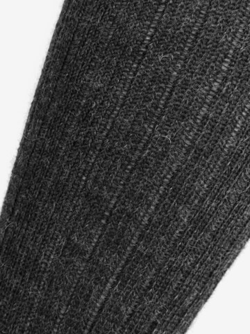 Chaussettes montantes normani en gris