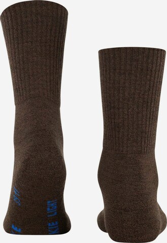 FALKE Sportsocken in Braun