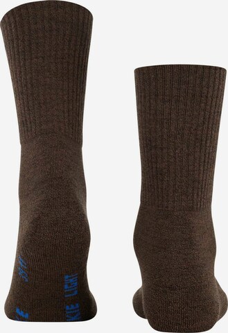 FALKE Athletic Socks in Brown