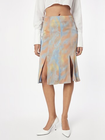 Tiger of Sweden Skirt 'CASI' in Mixed colours: front