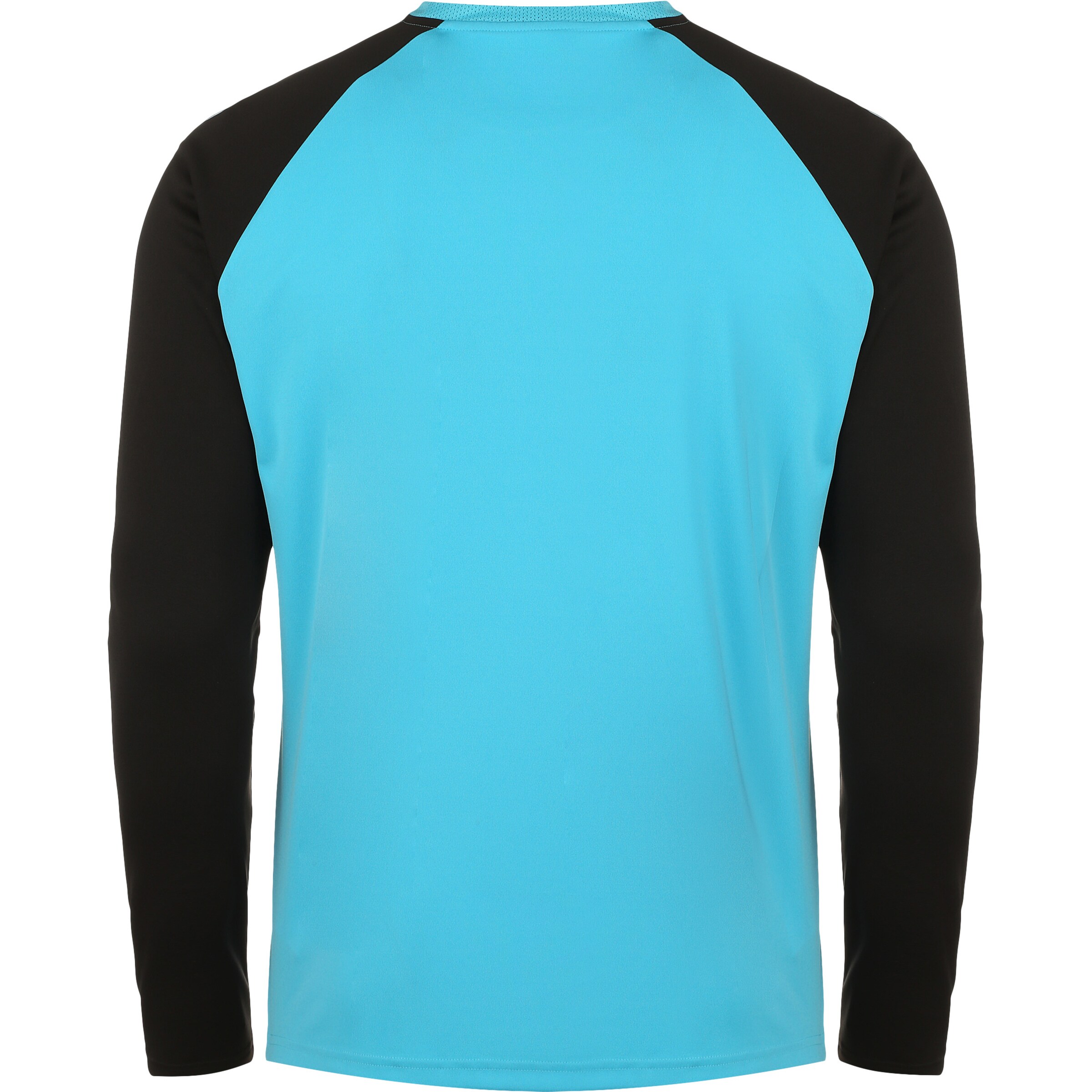 PUMA Jersey 'TeamPacer' in Blue