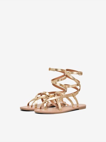 ONLY - Sandalias con hebilla 'ONLMINO-1' en oro