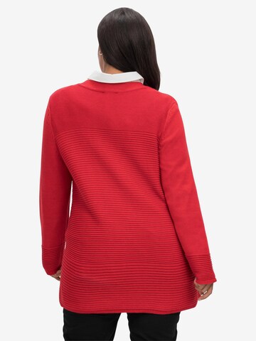 SHEEGO Pullover in Rot