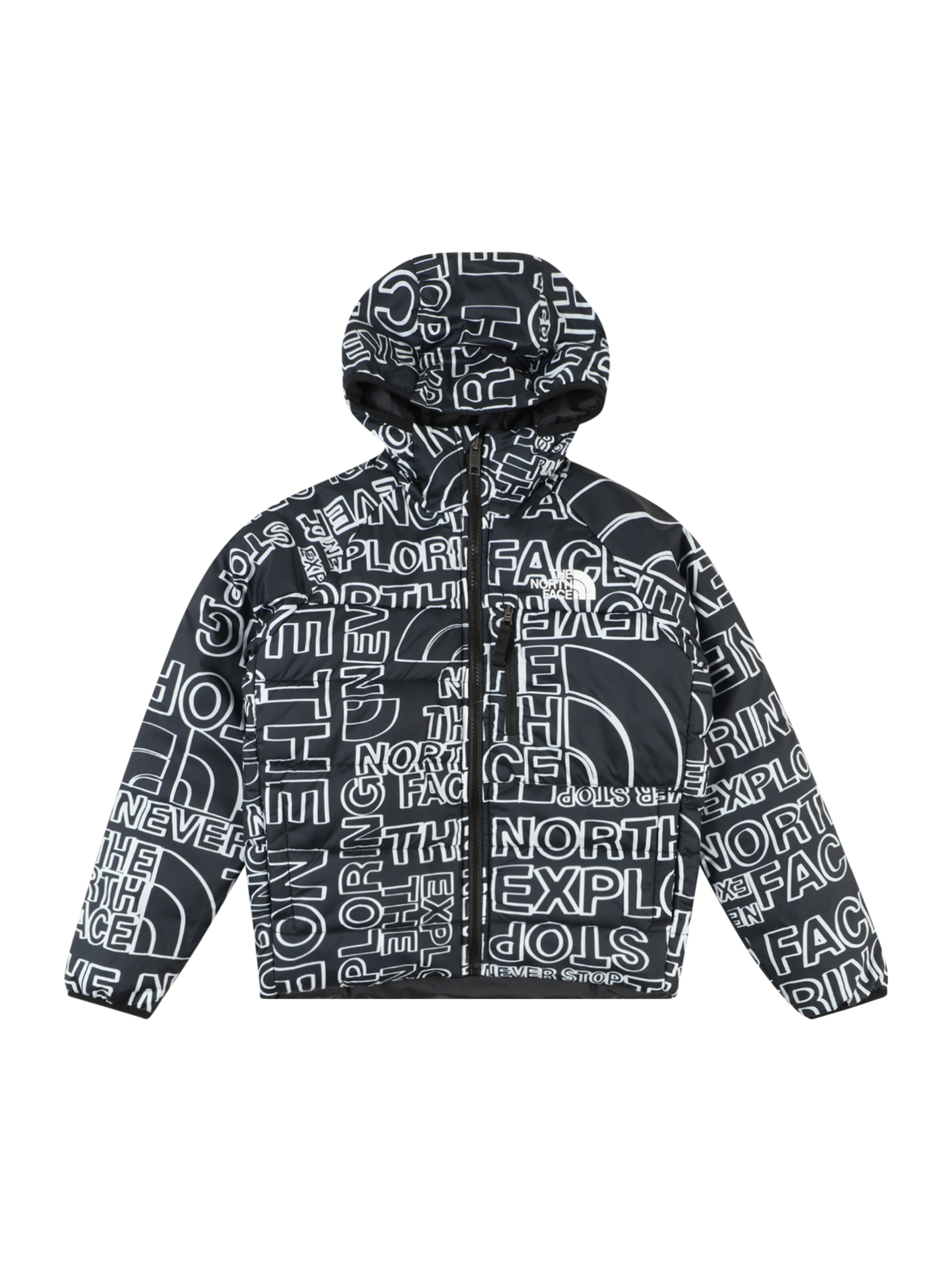 THE NORTH FACE Outdoorjacke in Schwarz: Vorderseite
