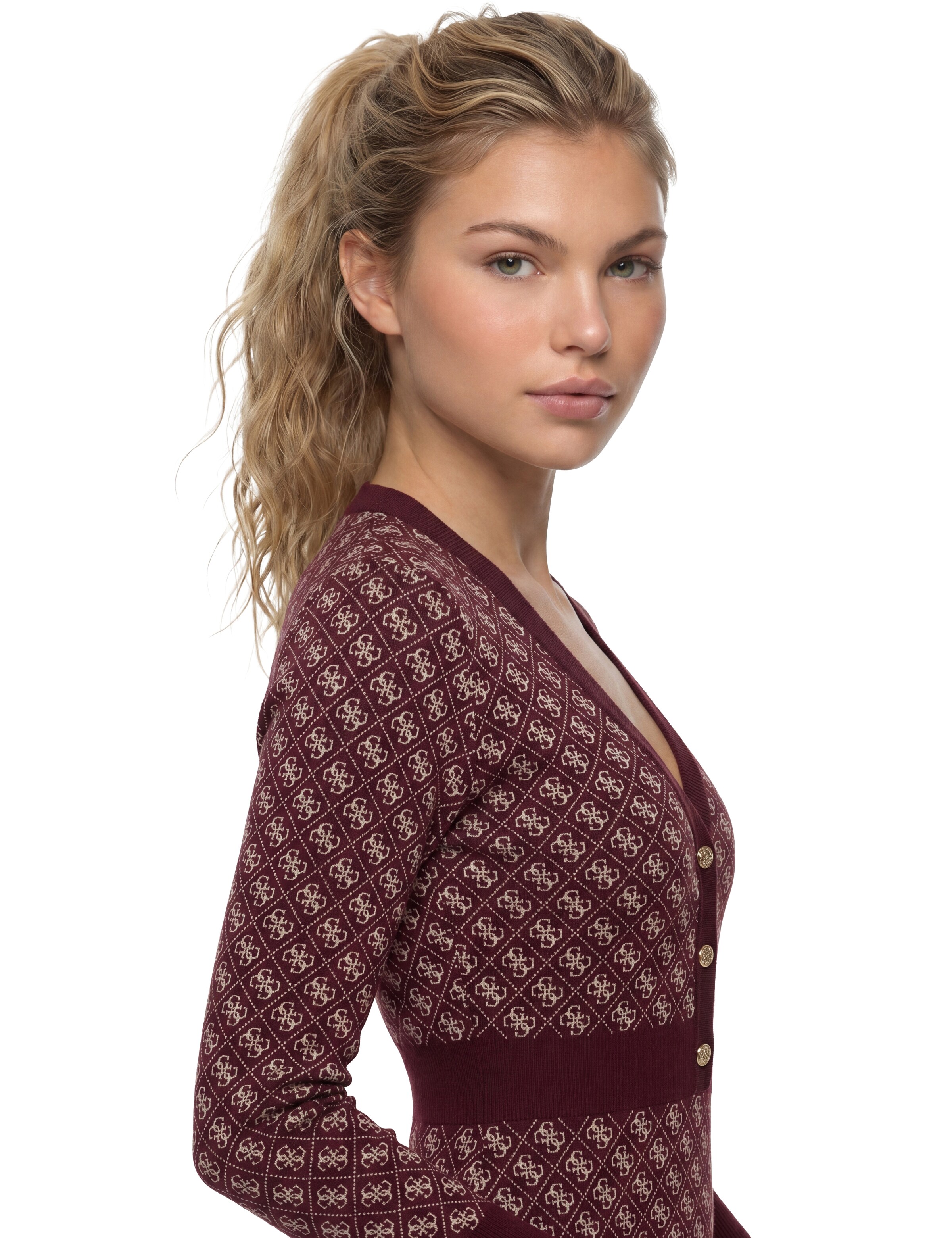 GUESS Kleid in Braun