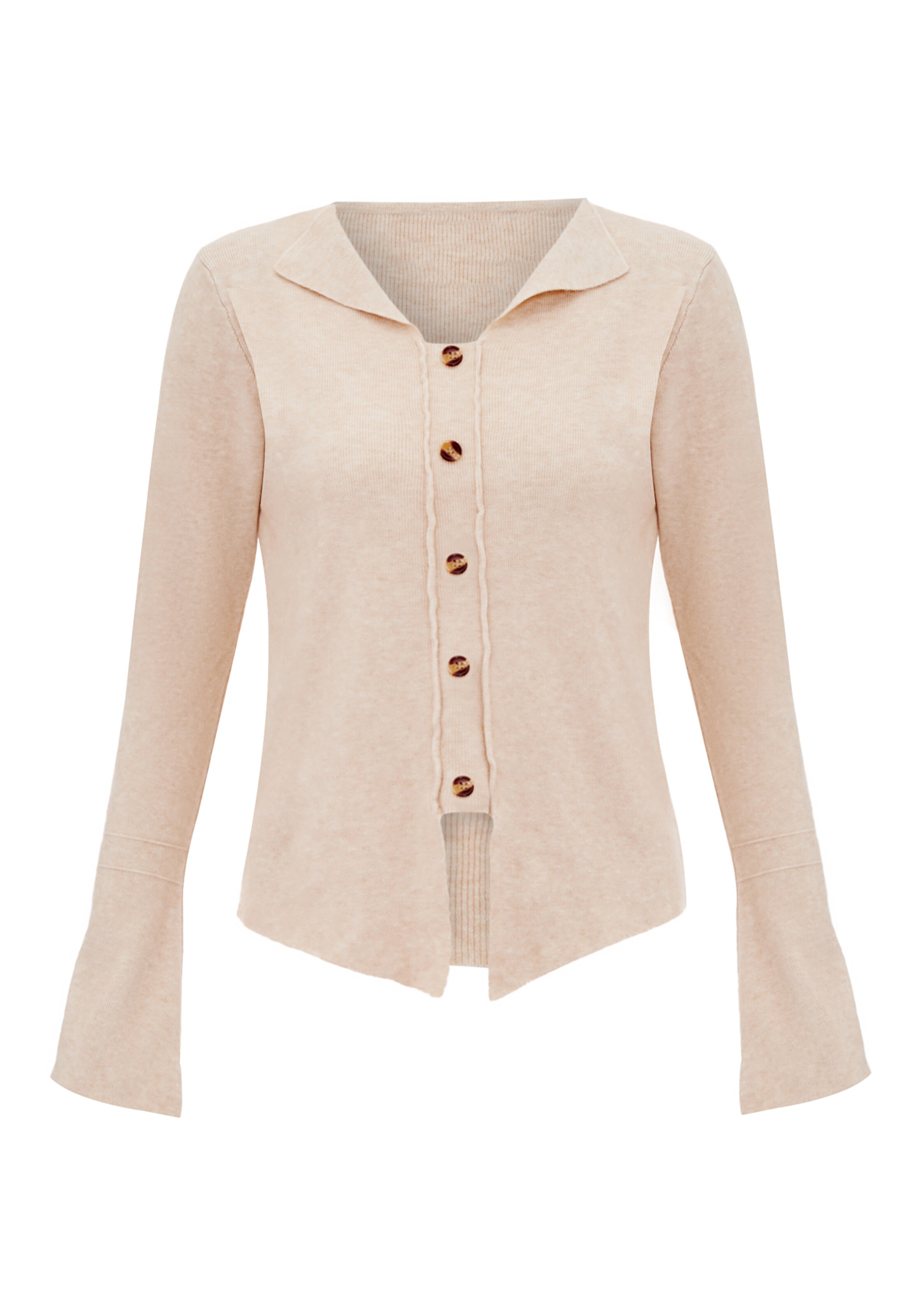 SANIKA Trui in Beige: voorkant