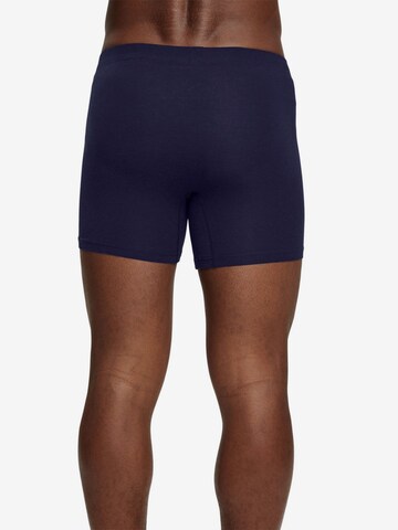 ESPRIT Boxershorts in Blau