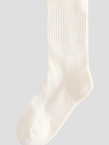 Chaussettes Next en mélange de couleurs