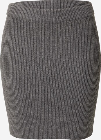 Aware Skirt 'HALDIS' in Grey: front